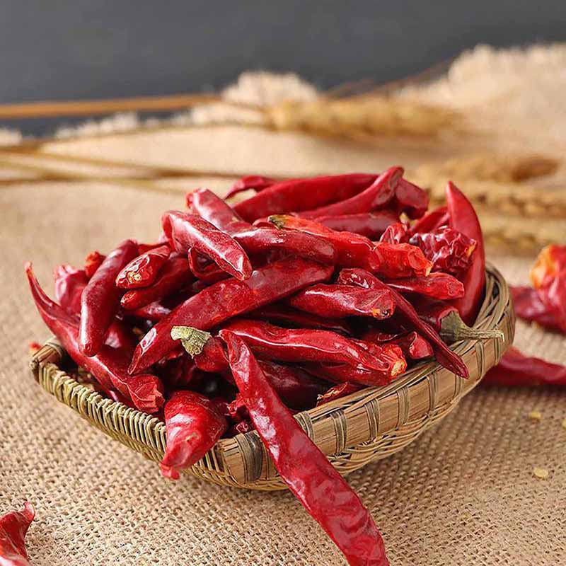干辣椒